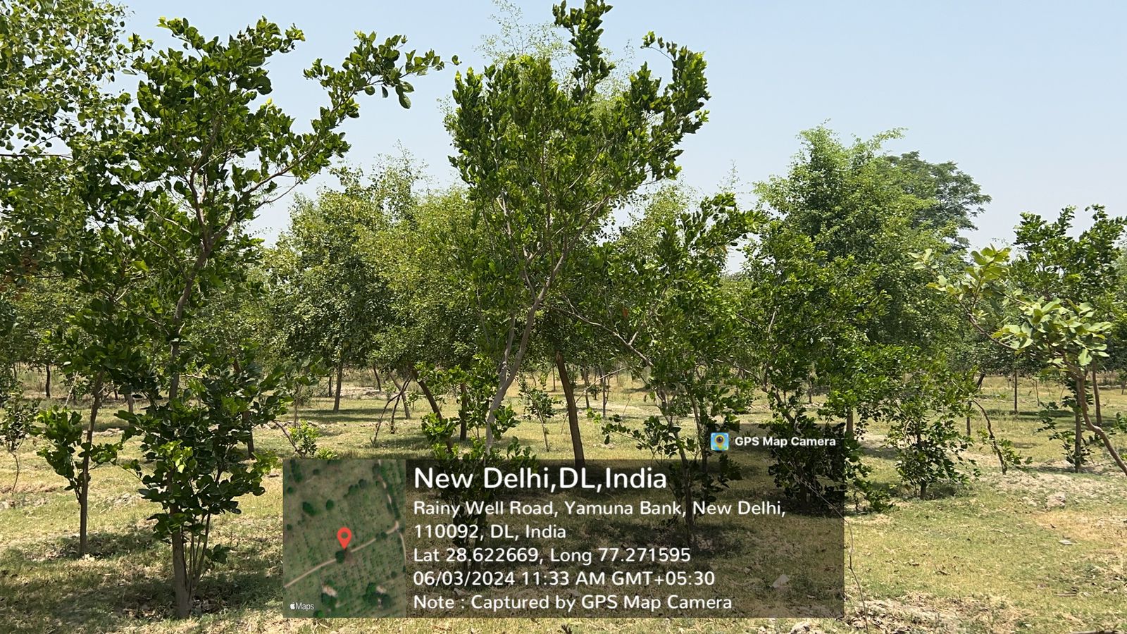 Compensatory Afforestation